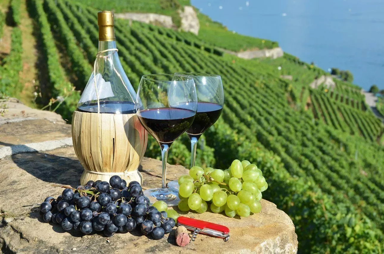 Private Wine Tasting Excursion to Peljesac from Dubrovnik